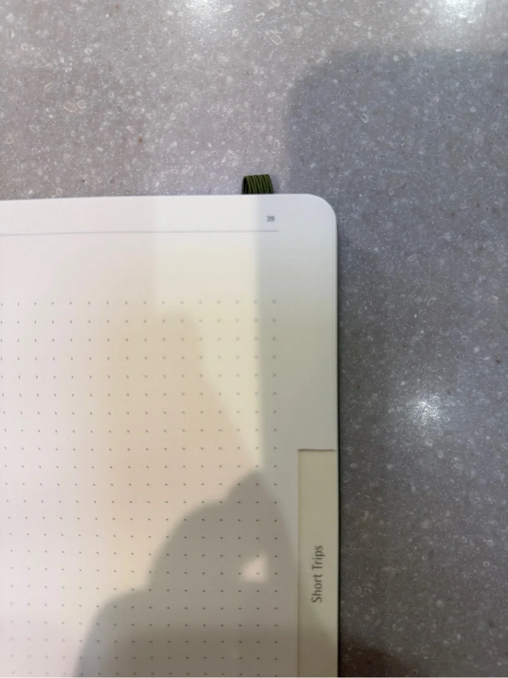 Moleskine Traveller’s Journal In Green